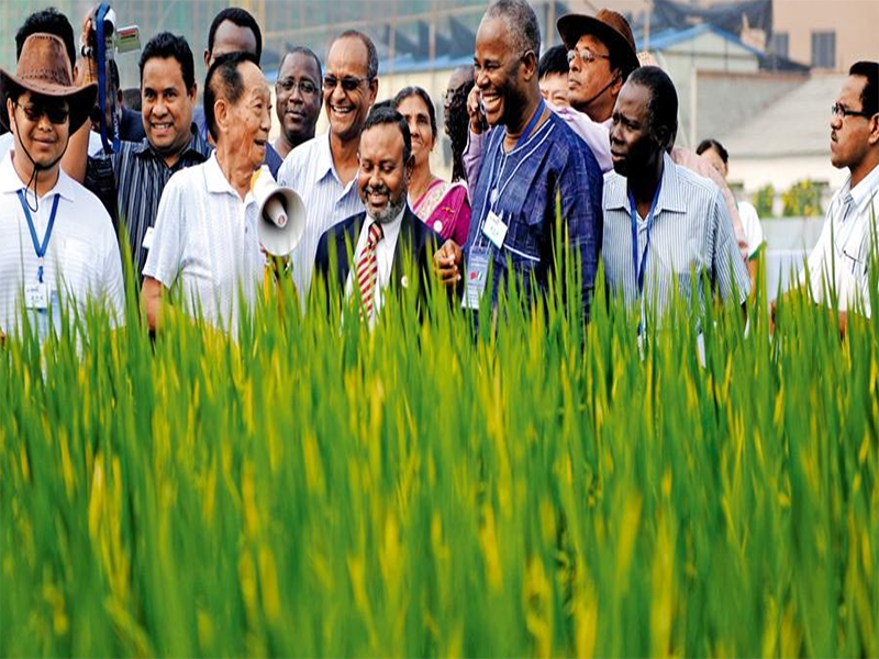 我國糧食產量不斷遞增，為什么還要進口？