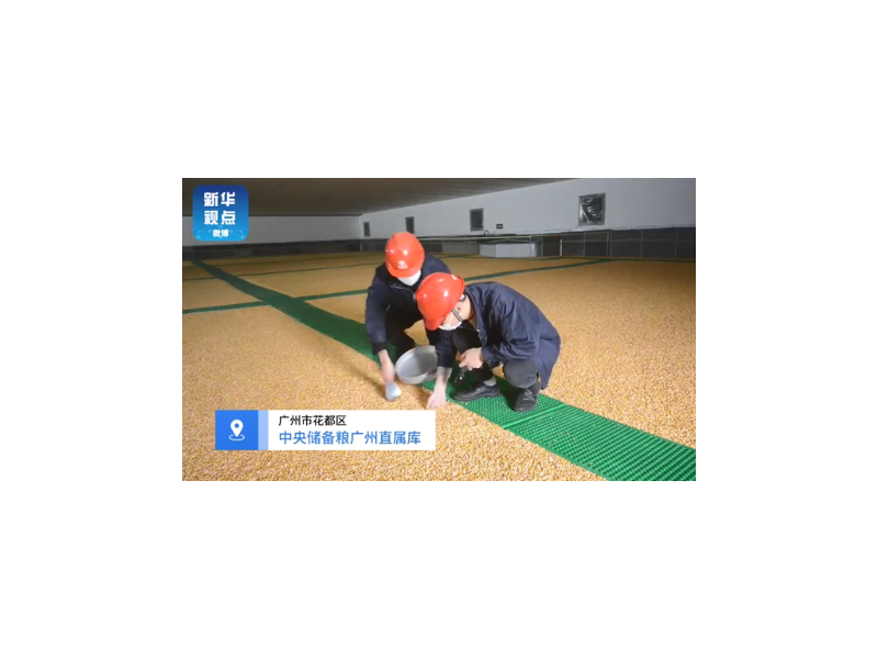 大國(guó)糧 倉(cāng)長(zhǎng)啥 樣？