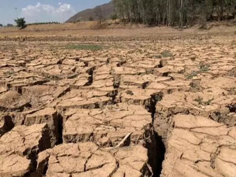 神健糧機——多地幾個月未降雨，會出現干旱嗎？